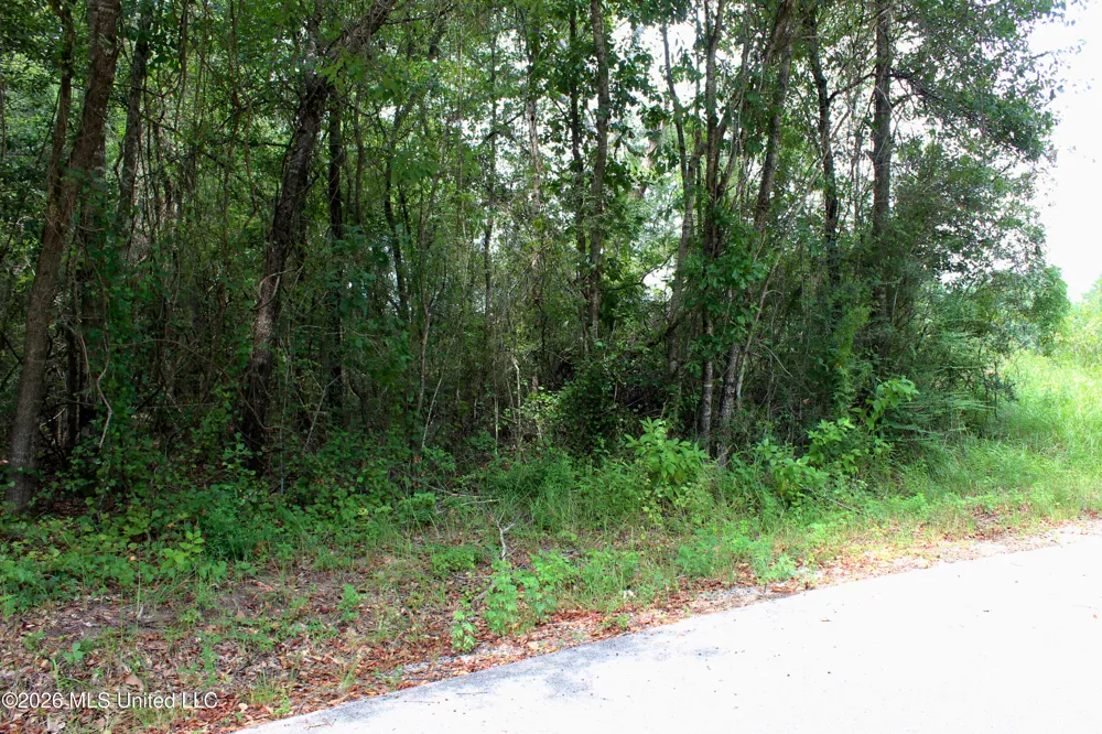 Moddie K Road Lucedale, MS 39452