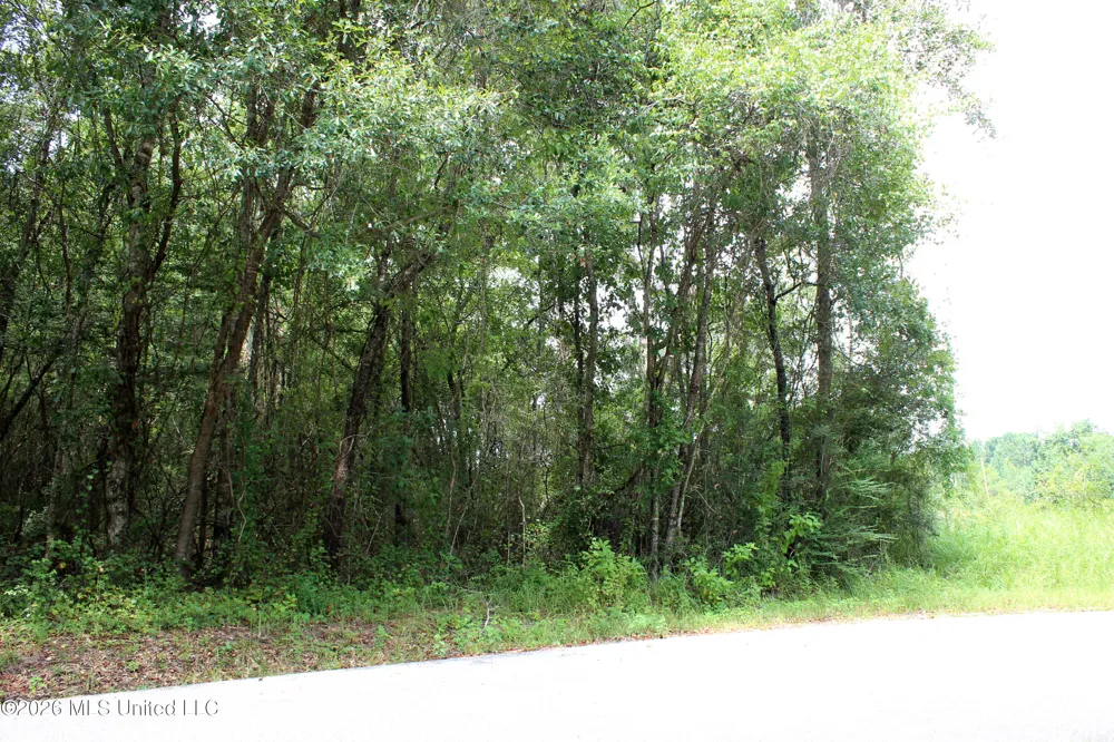 Moddie K Road Lucedale, MS 39452