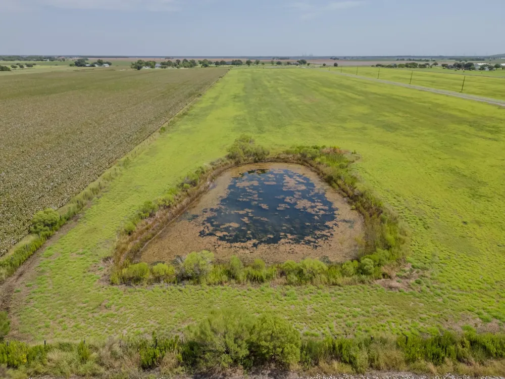 Zamanek Road Needville, TX 77461