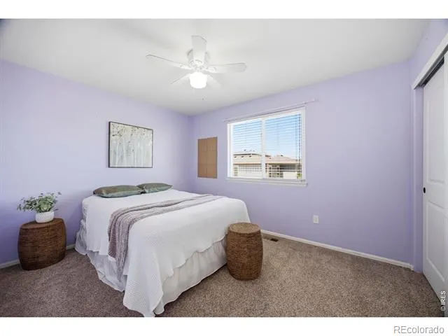 4502 Emerald Bay Lane Wellington, CO 80549