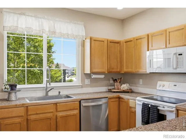 4502 Emerald Bay Lane Wellington, CO 80549