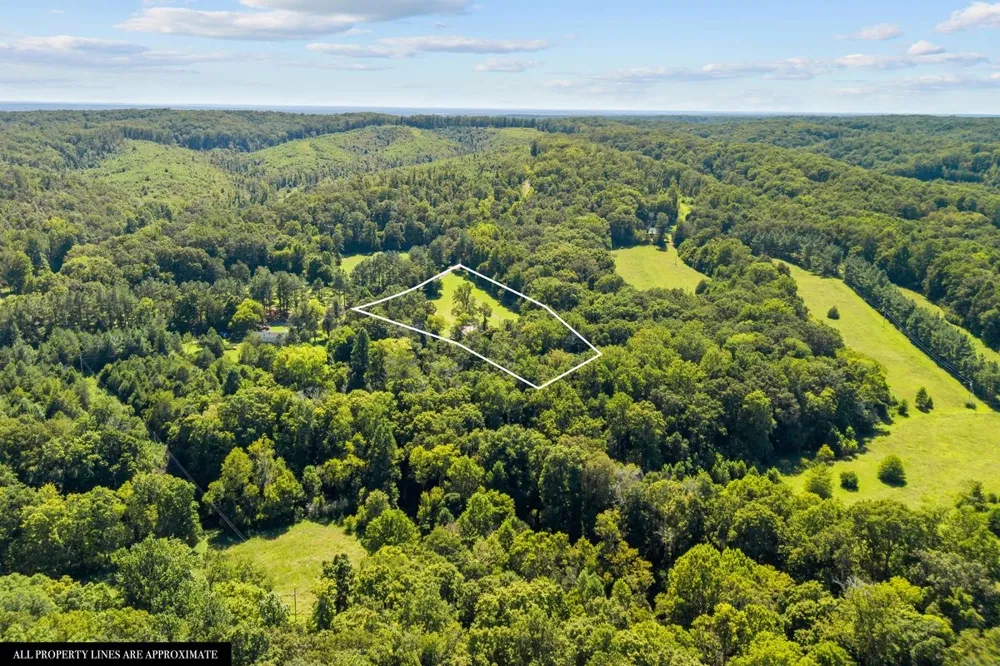 6371 Hassell Creek Rd Lyles, TN 37098