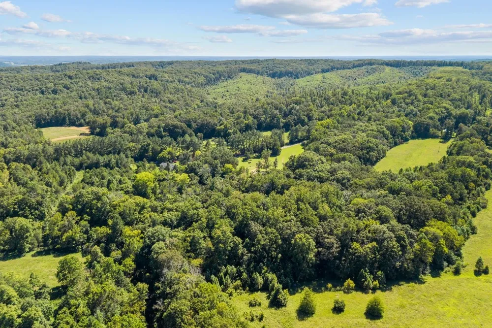6371 Hassell Creek Rd Lyles, TN 37098