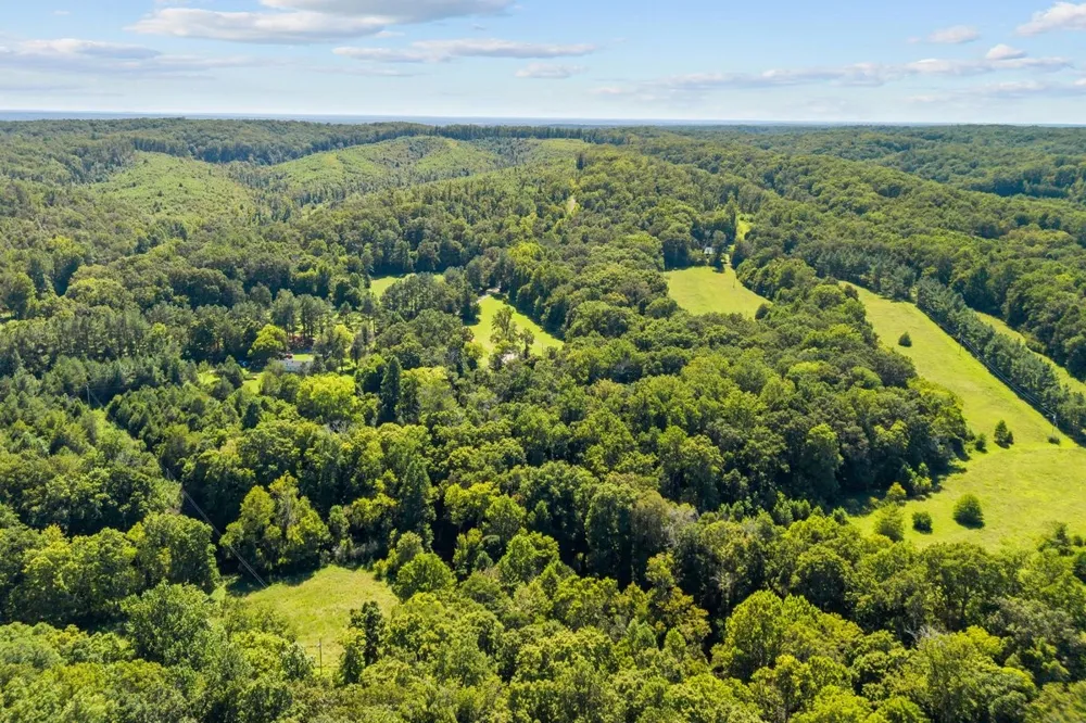6371 Hassell Creek Rd Lyles, TN 37098