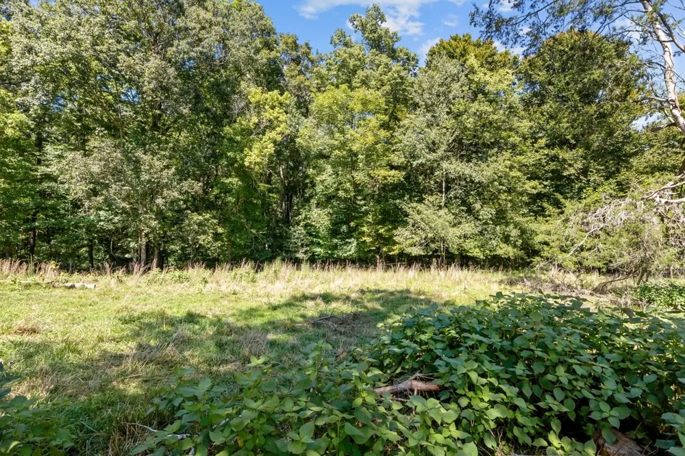 6371 Hassell Creek Rd Lyles, TN 37098