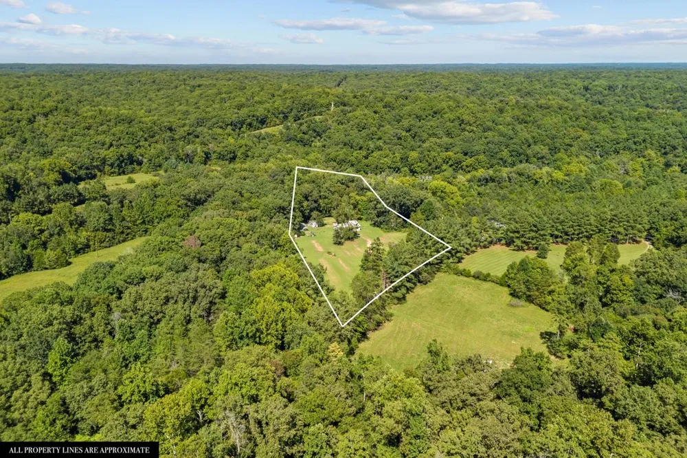 6371 Hassell Creek Rd Lyles, TN 37098