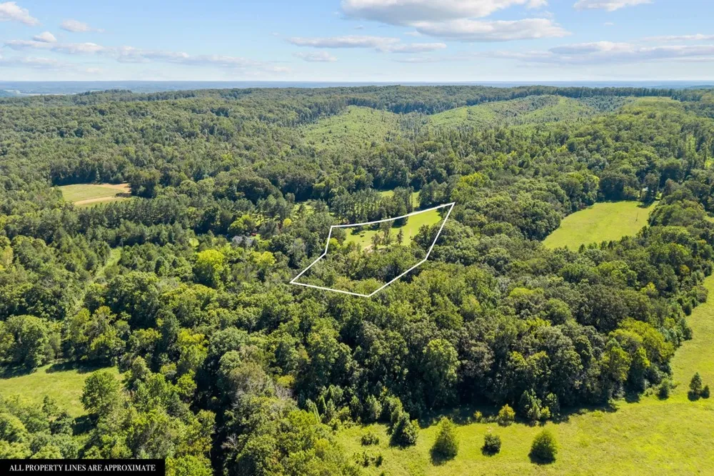 6371 Hassell Creek Rd Lyles, TN 37098