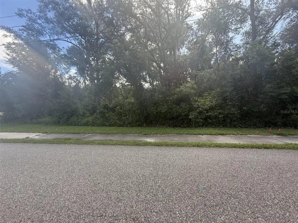 281 SUMMIT AVENUE Lake Helen, FL 32744