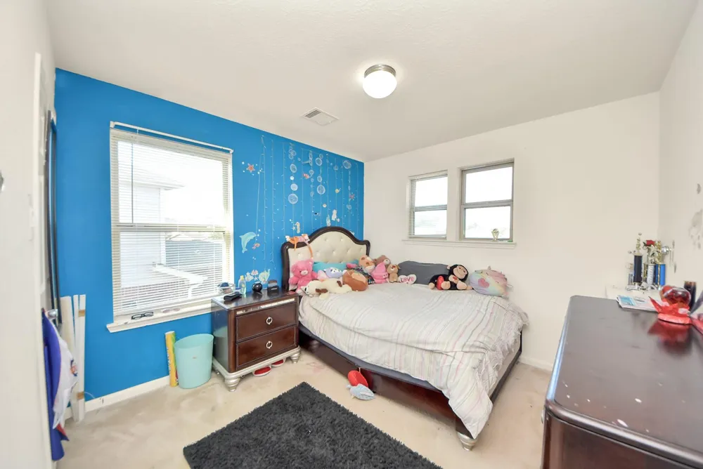 13006 Mills Creek Meadow Drive Houston, TX 77070