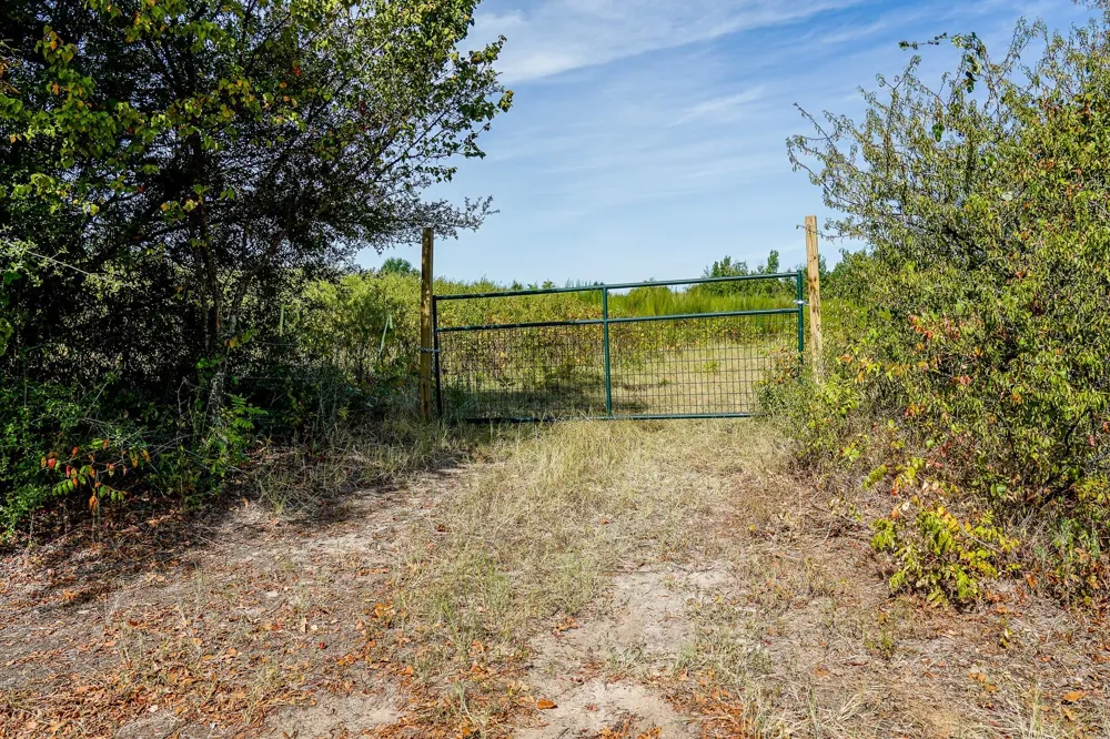 3 Cr 1584 Avinger, TX 75630
