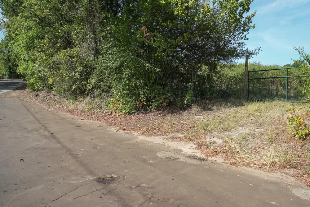 3 Cr 1584 Avinger, TX 75630