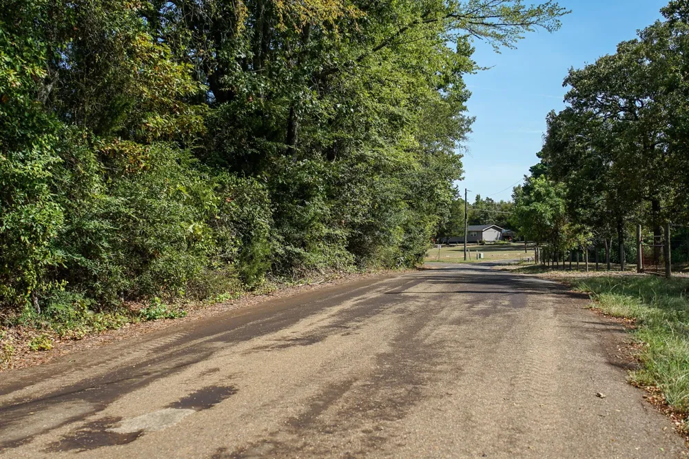 3 Cr 1584 Avinger, TX 75630