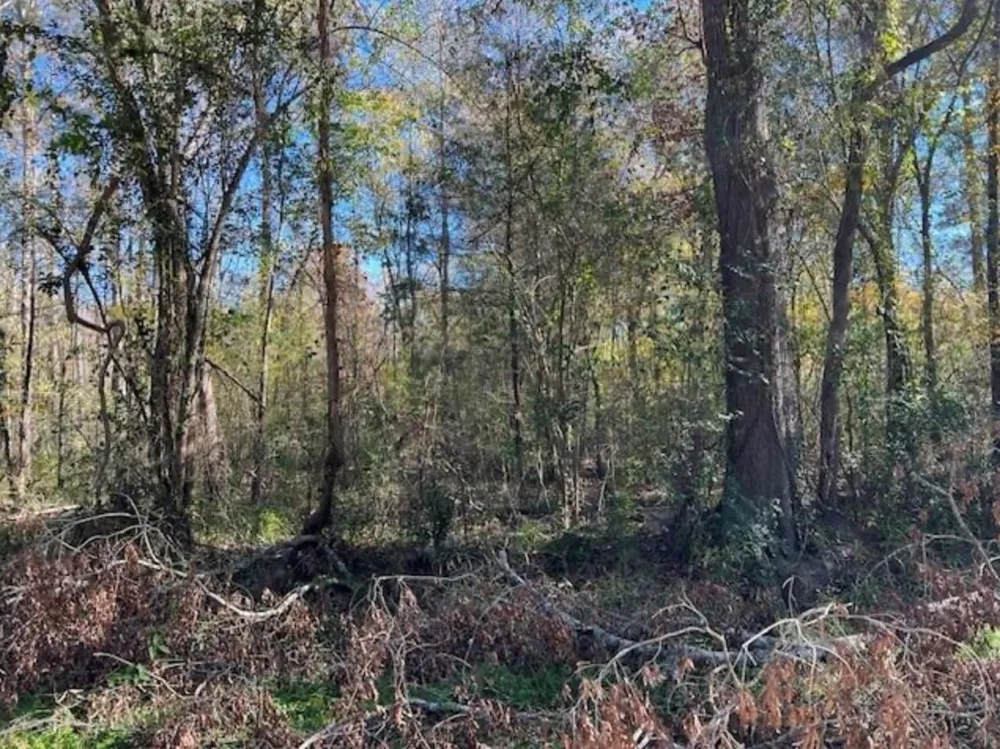 Lazy Creek Drive New Caney, TX 77357
