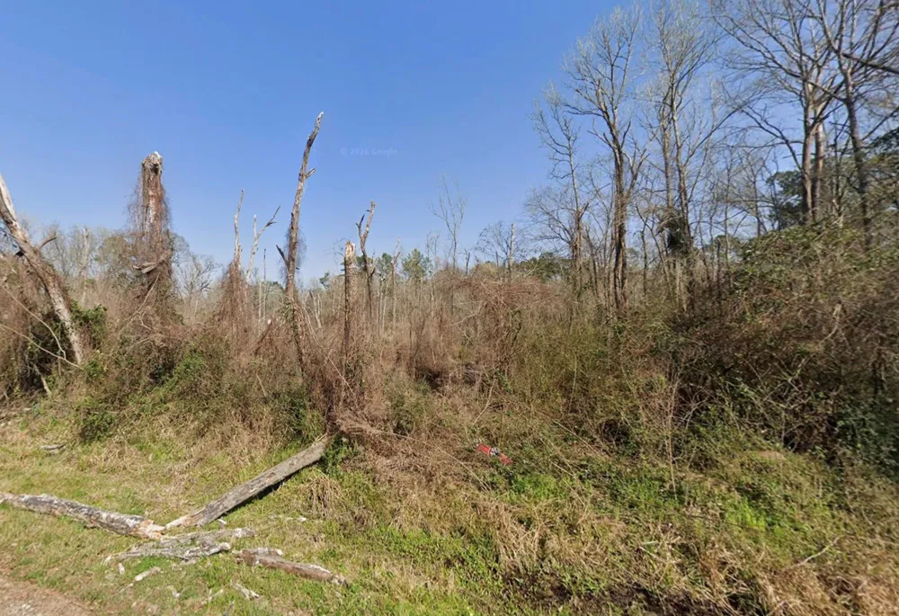 Lazy Creek Drive New Caney, TX 77357