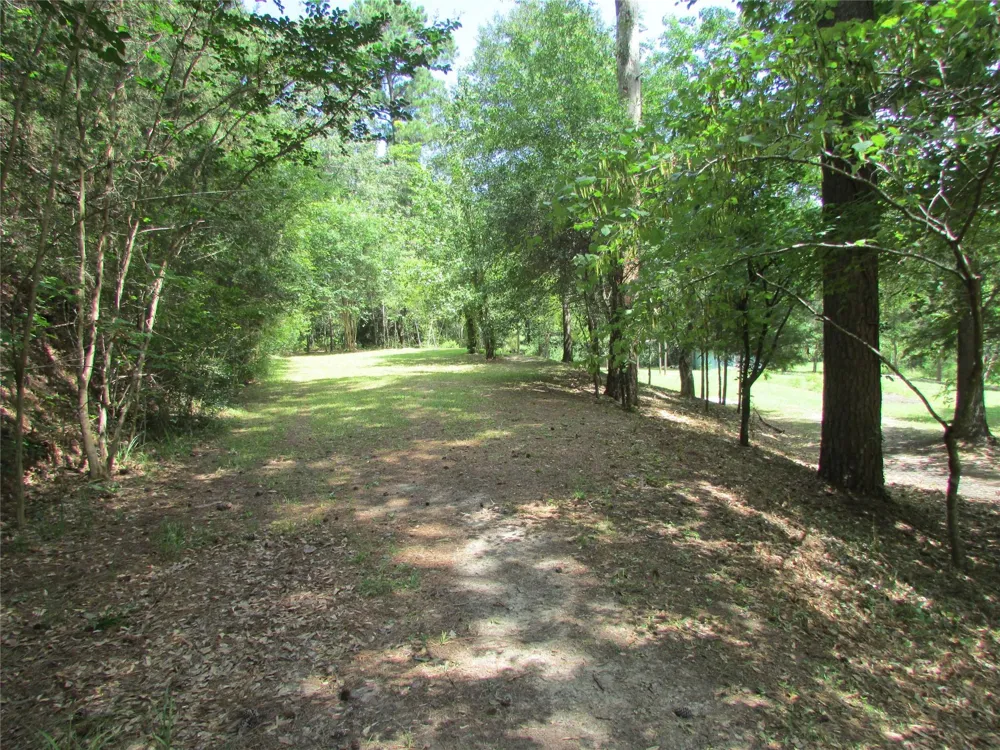 9 Mars Huntsville, TX 77340