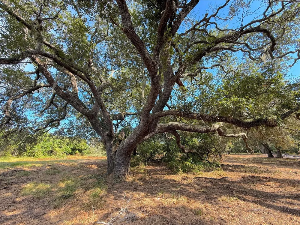 1 S F Austin Freeport, TX 77541
