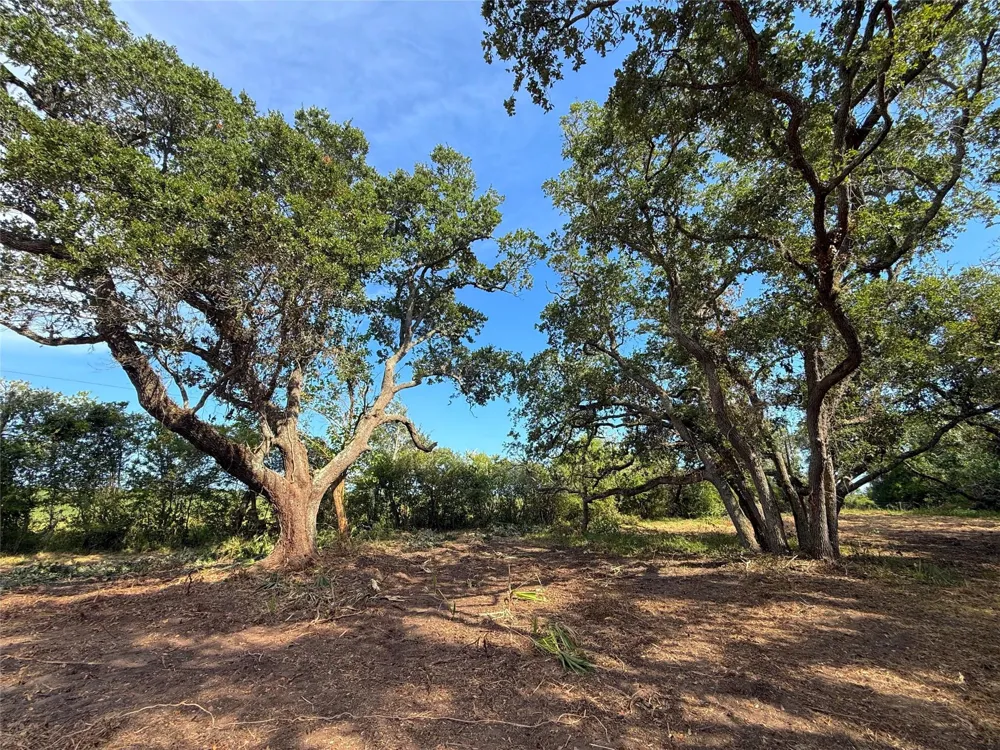 1 S F Austin Freeport, TX 77541
