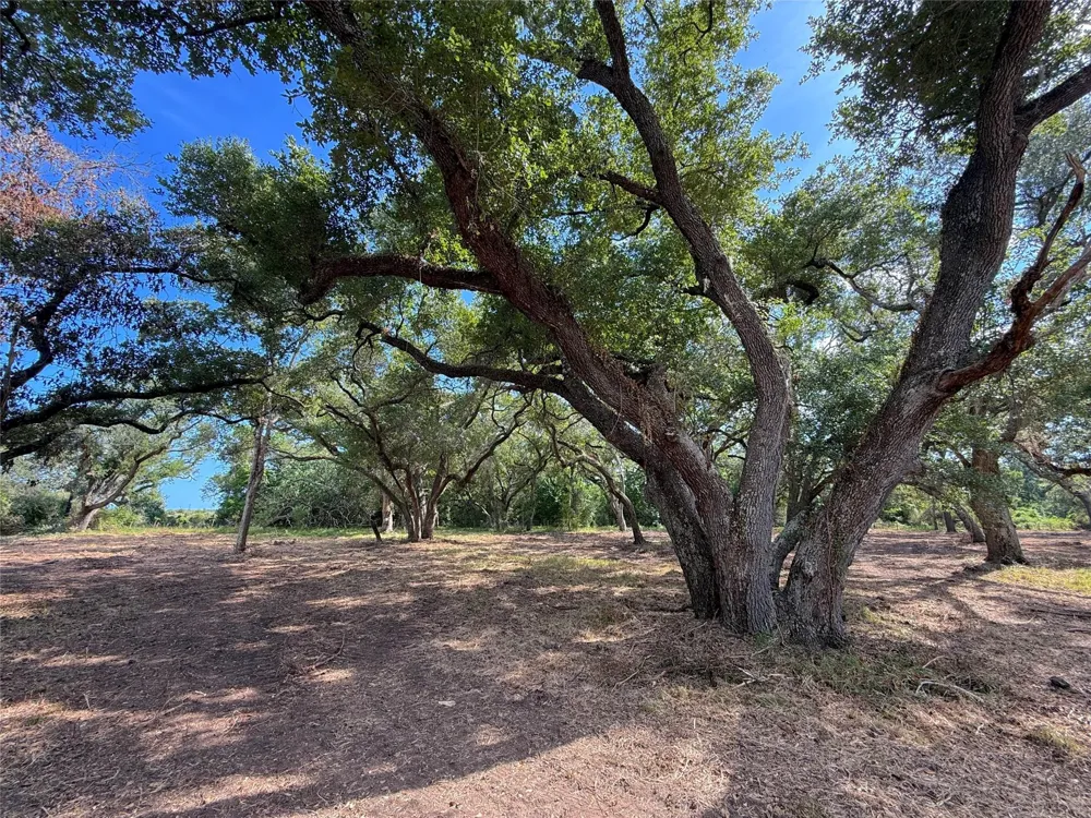 1 S F Austin Freeport, TX 77541