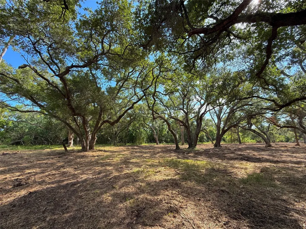 1 S F Austin Freeport, TX 77541