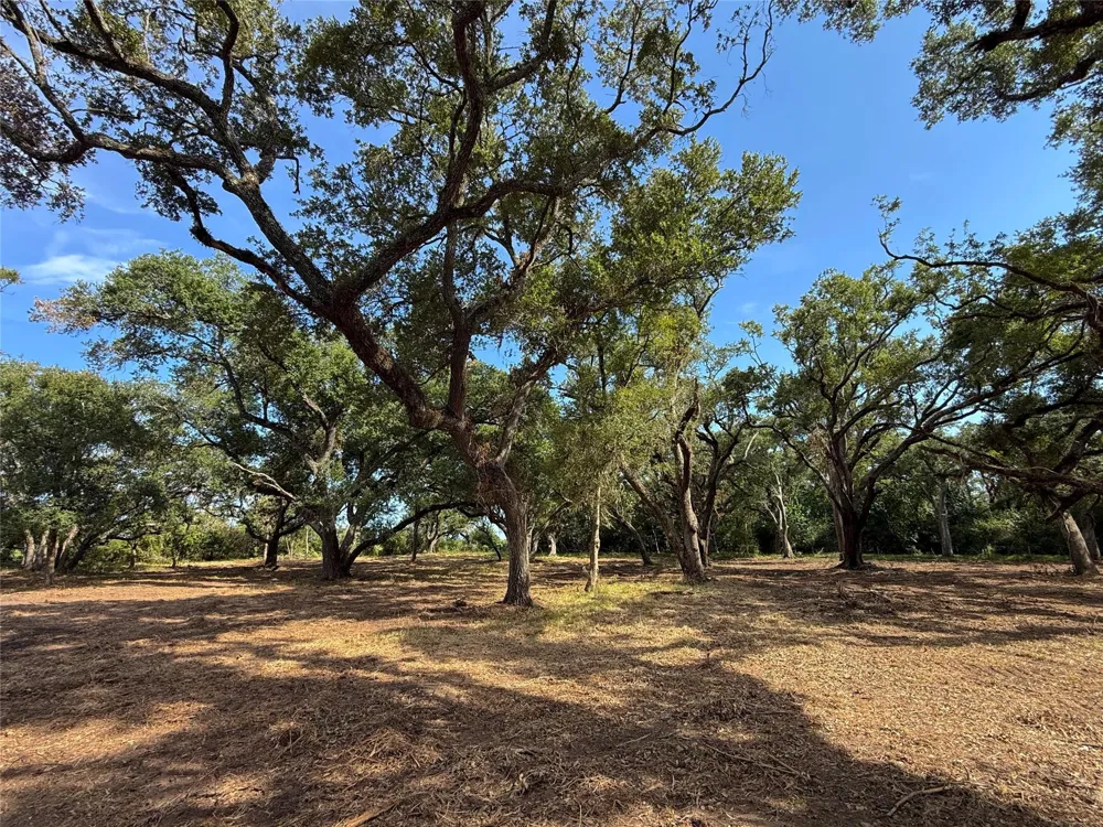1 S F Austin Freeport, TX 77541