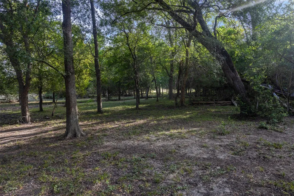 444 Nassau Road Round Top, TX 78954