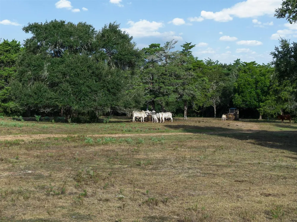 444 Nassau Road Round Top, TX 78954