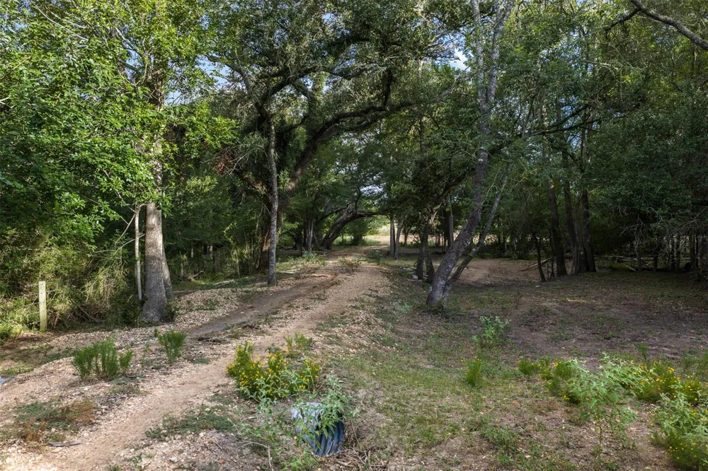 444 Nassau Road Round Top, TX 78954