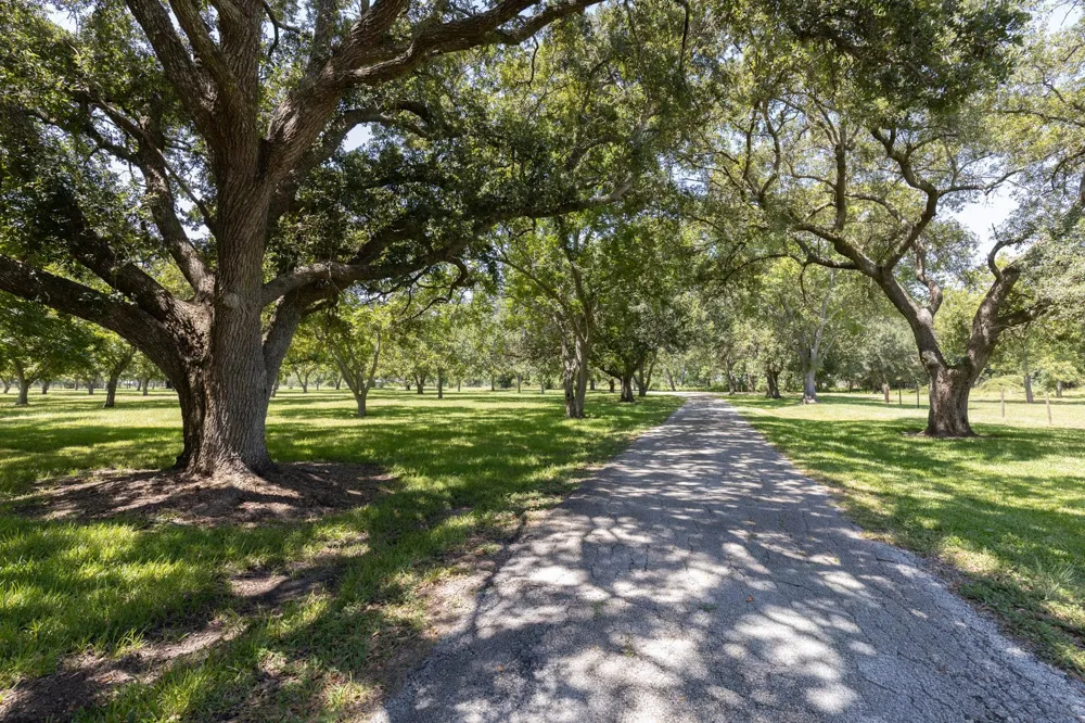 3042 Poskey Road Anahuac, TX 77514