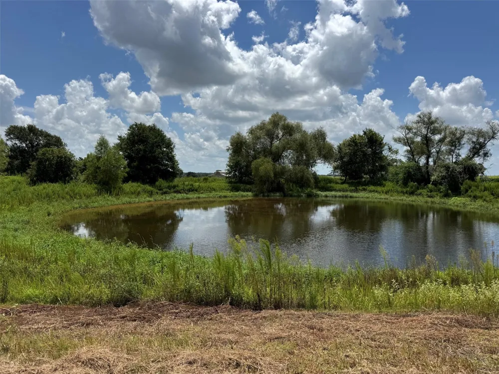 24233 Nine Bar Road Hempstead, TX 77445