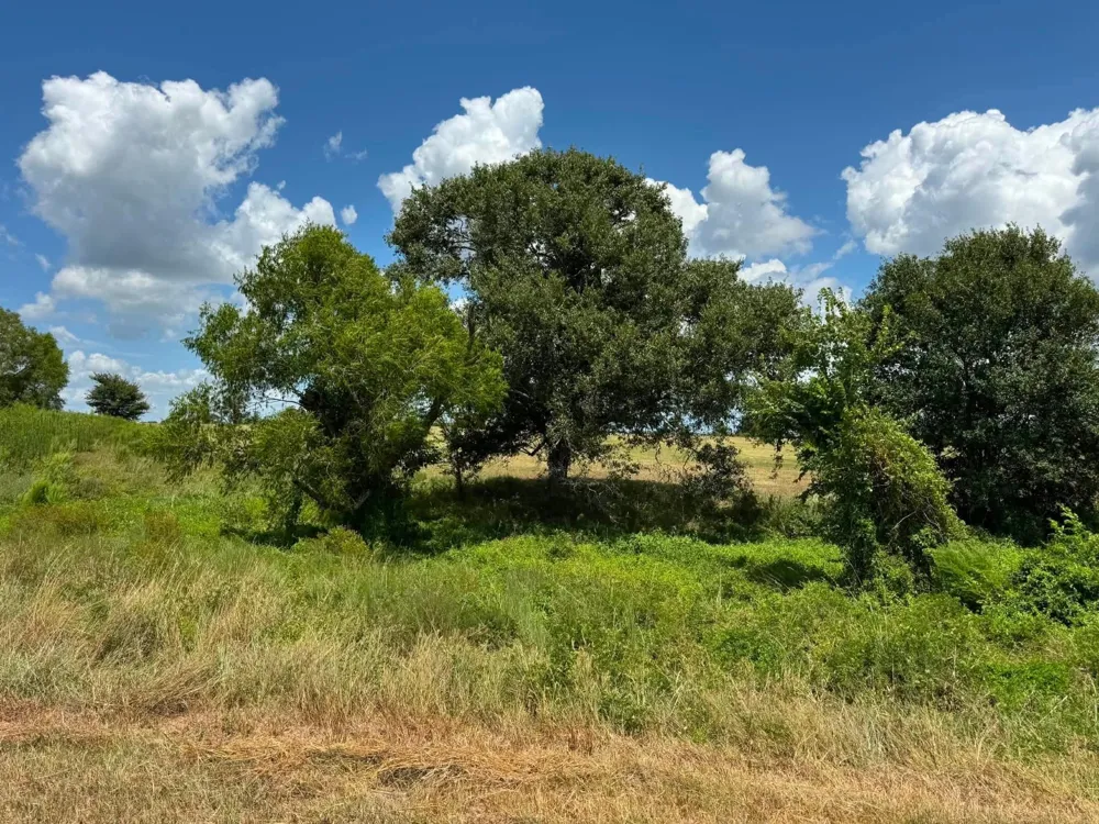 24233 Nine Bar Road Hempstead, TX 77445
