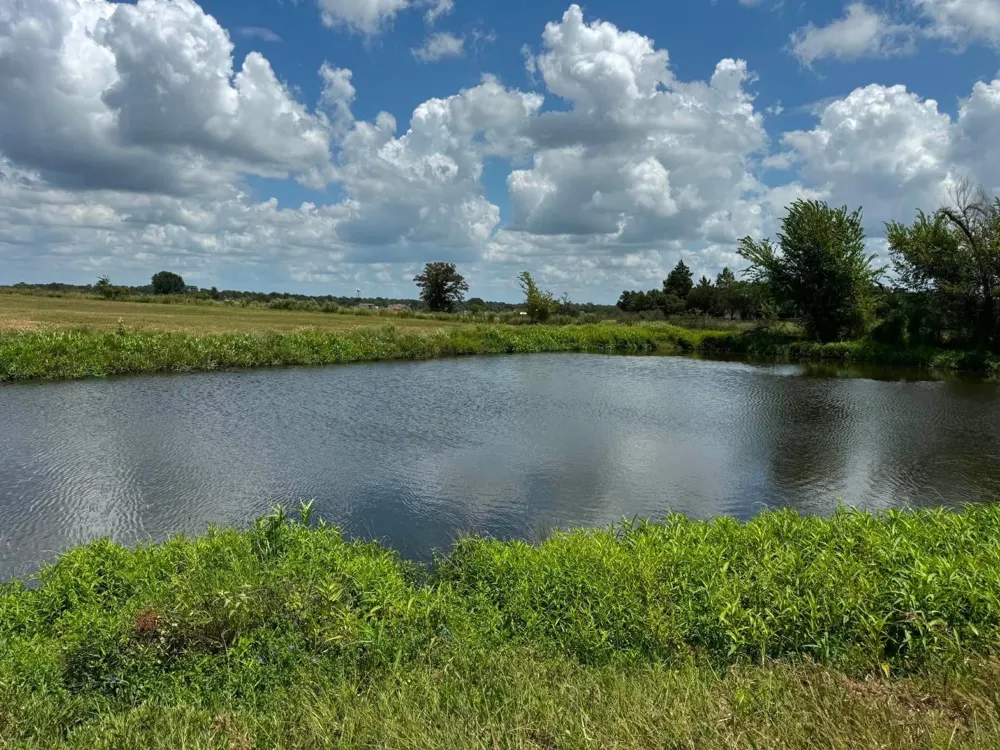 24233 Nine Bar Road Hempstead, TX 77445