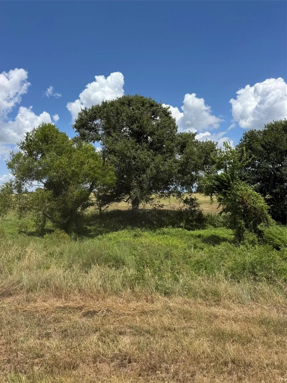 24233 Nine Bar Road Hempstead, TX 77445