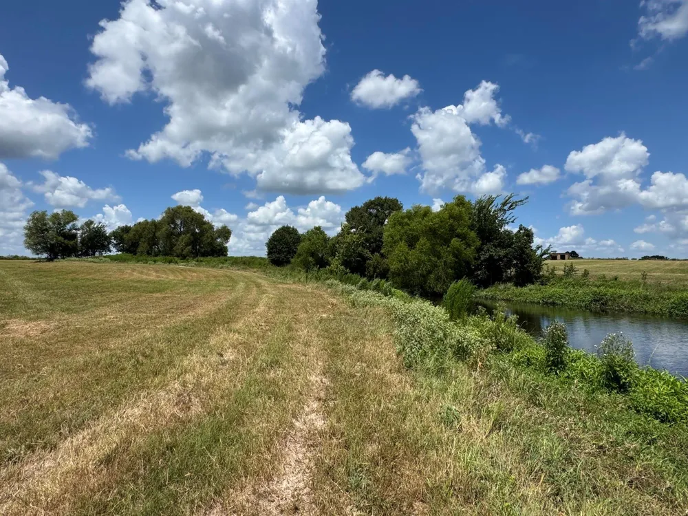 24233 Nine Bar Road Hempstead, TX 77445