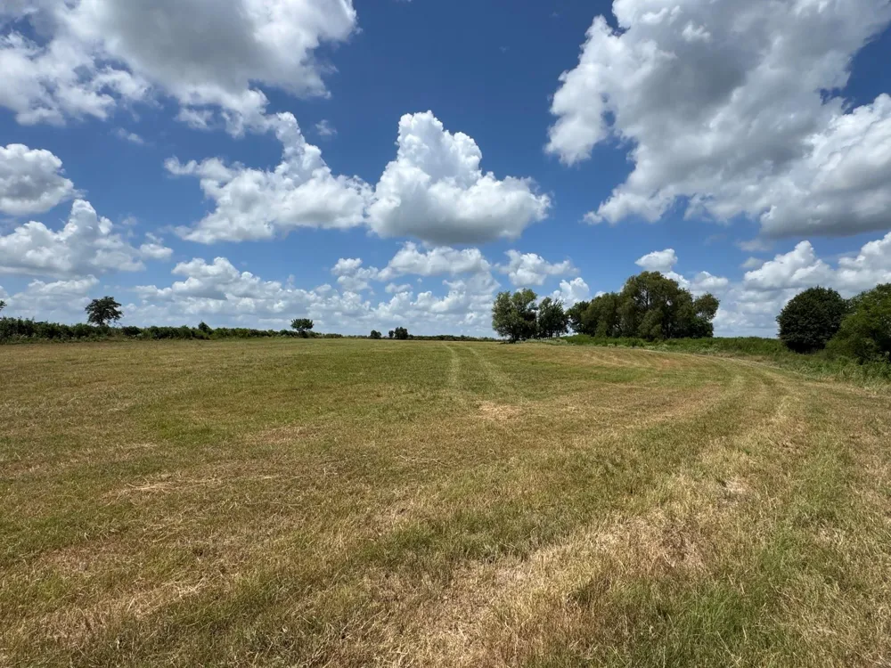 24233 Nine Bar Road Hempstead, TX 77445
