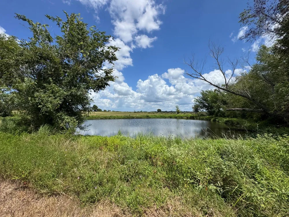 24233 Nine Bar Road Hempstead, TX 77445