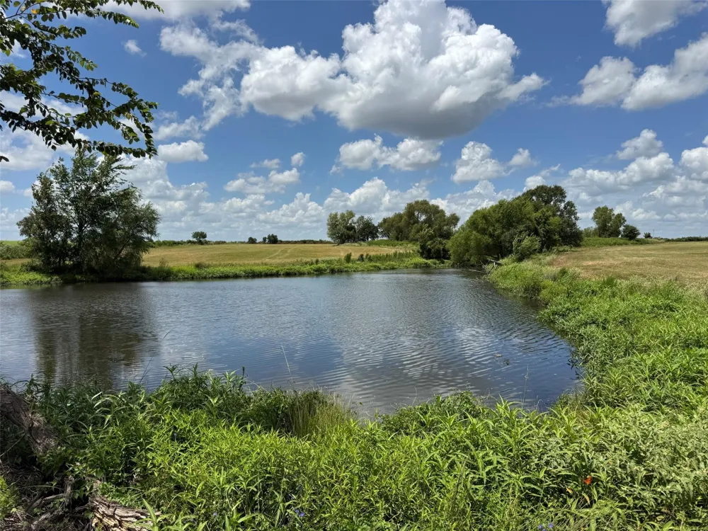 24233 Nine Bar Road Hempstead, TX 77445