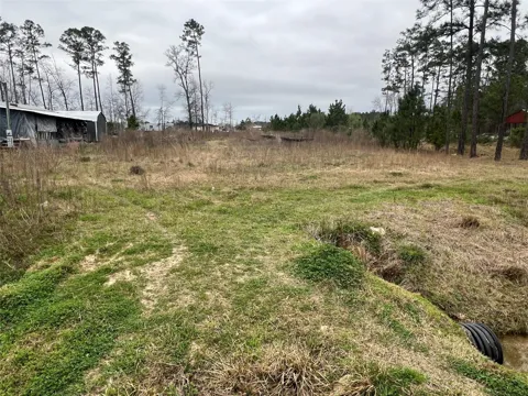 1709 County Road 3479a