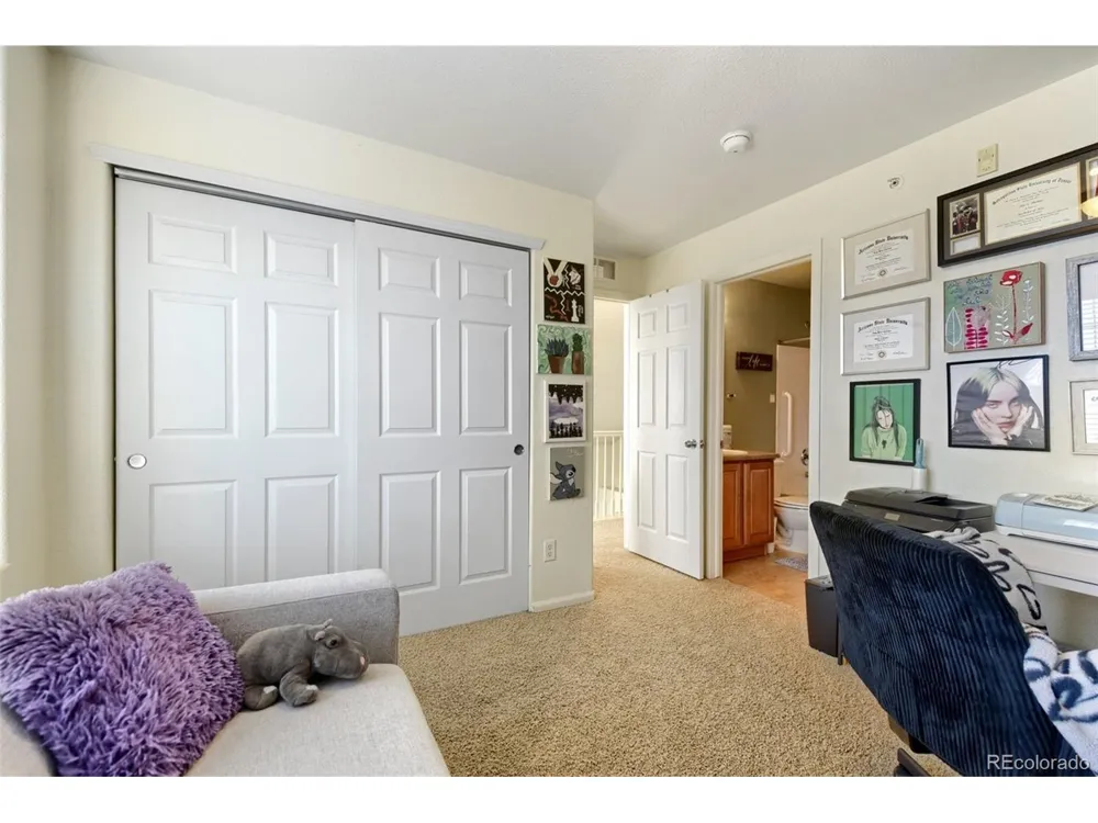 431 Black Feather Loop #820 Castle Rock, CO 80104