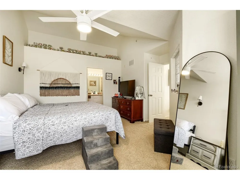 431 Black Feather Loop #820 Castle Rock, CO 80104