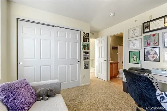 431 Black Feather Loop #820 Castle Rock, CO 80104