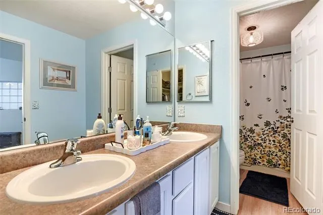 431 Black Feather Loop #820 Castle Rock, CO 80104