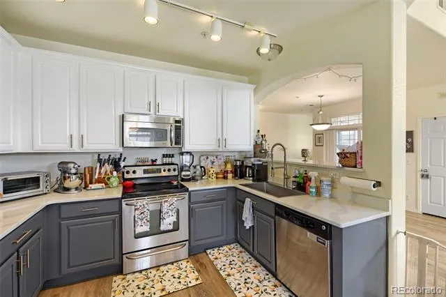 431 Black Feather Loop #820 Castle Rock, CO 80104