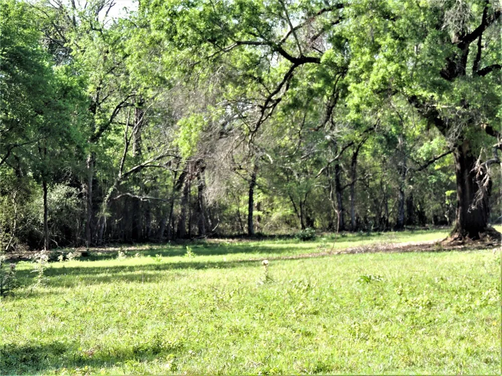 749 County Road 4110 Crockett, TX 75835