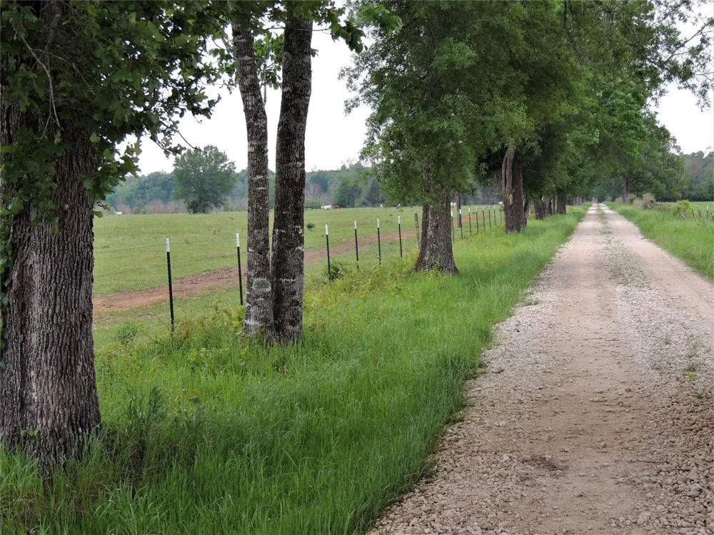749 County Road 4110 Crockett, TX 75835
