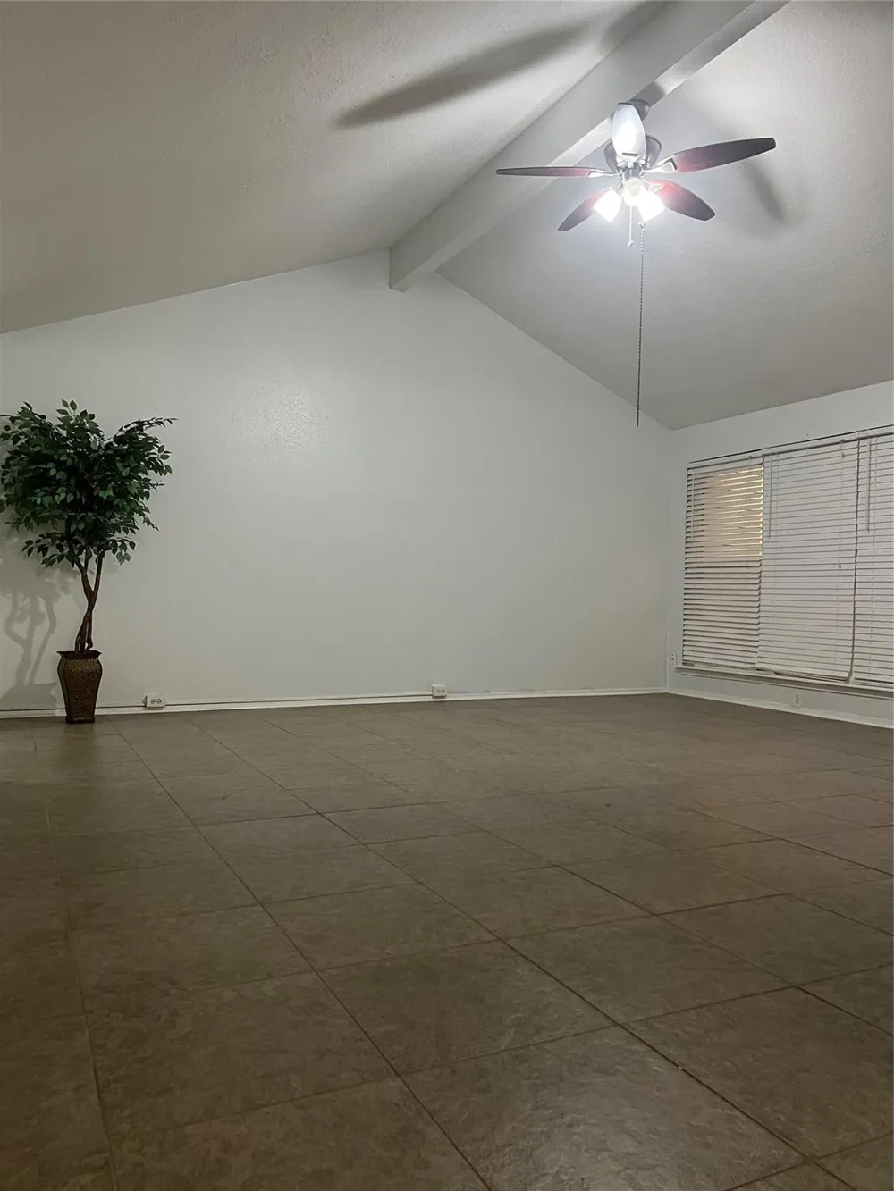 19319 Hollowlog Drive Katy, TX 77449