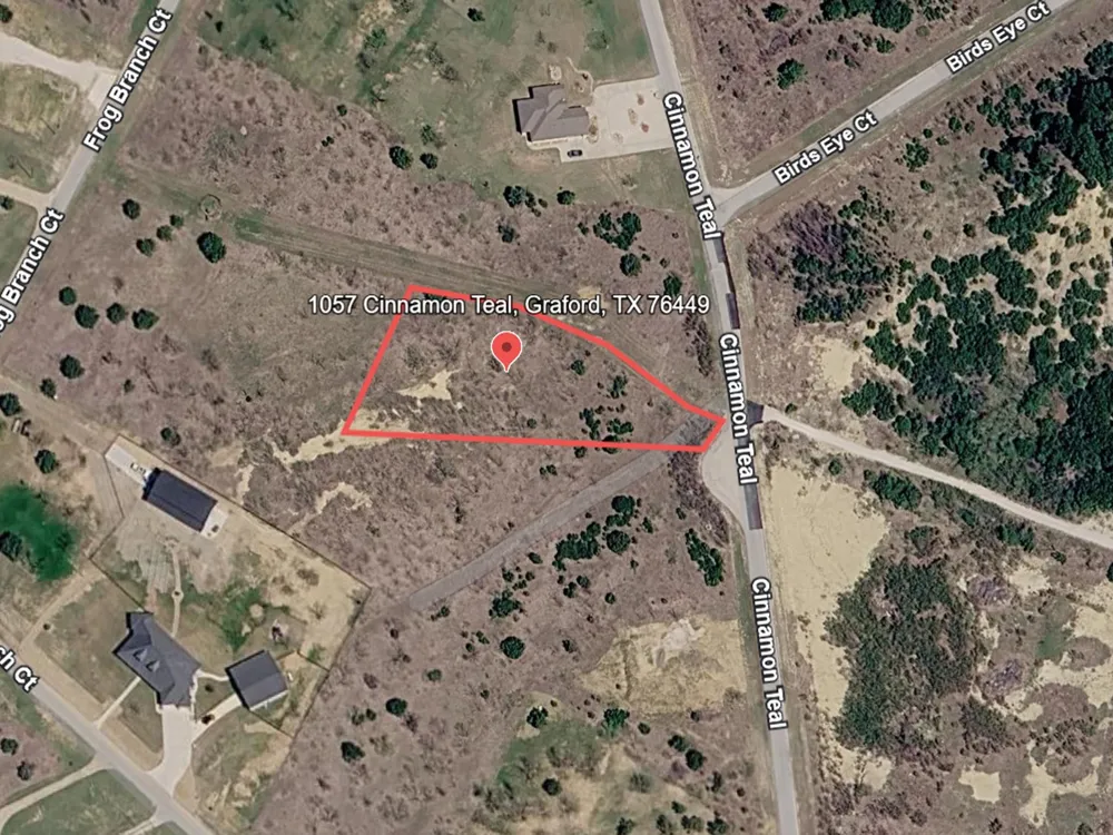 1057 Cinnamon Teal Graford, TX 76449