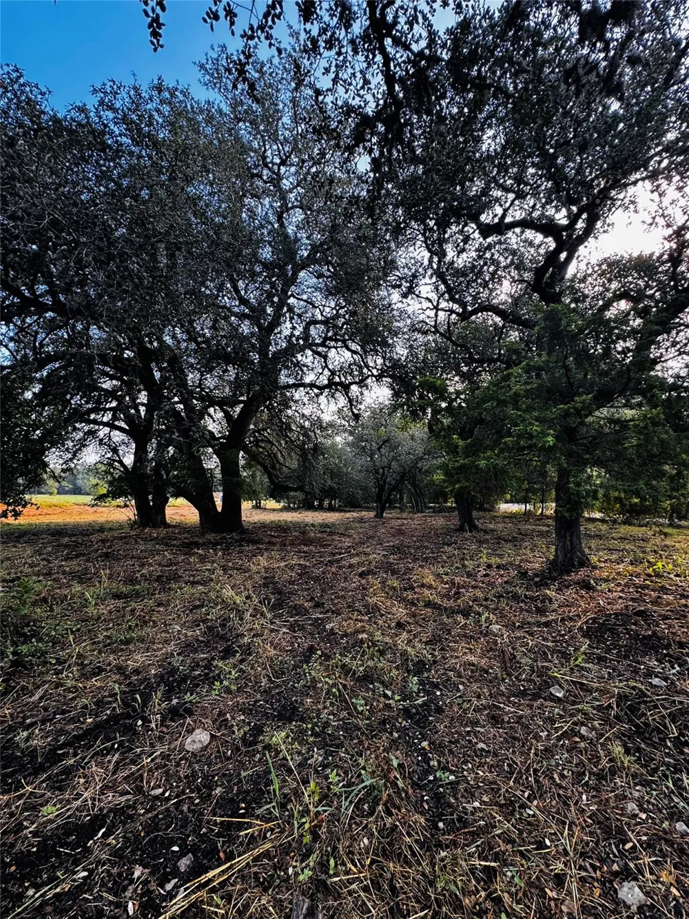 6300 Sand Rock Rutersville, TX 78945