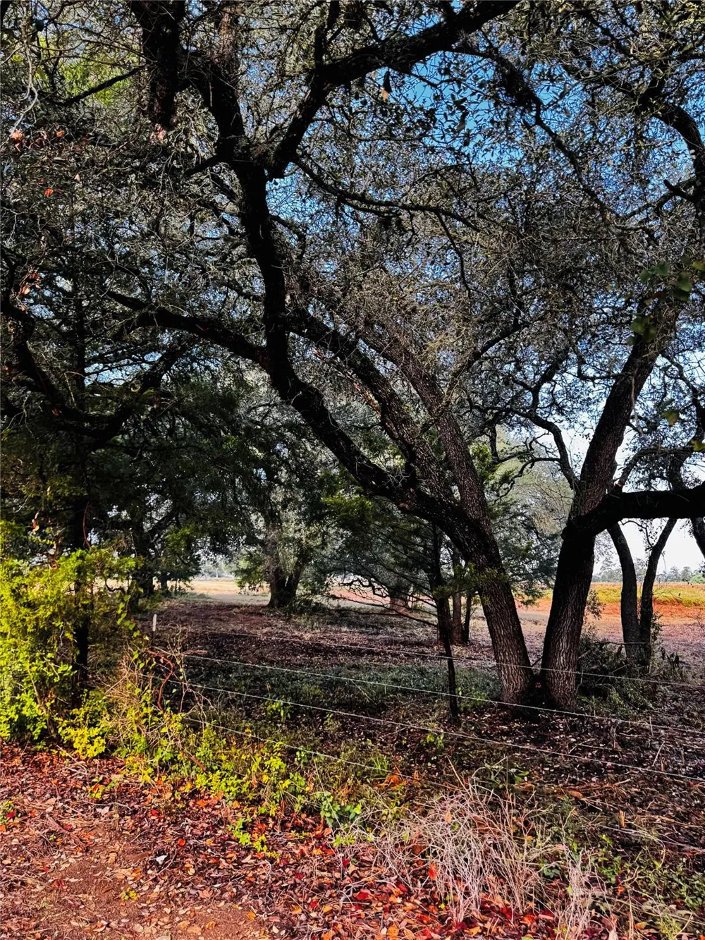 6300 Sand Rock Rutersville, TX 78945