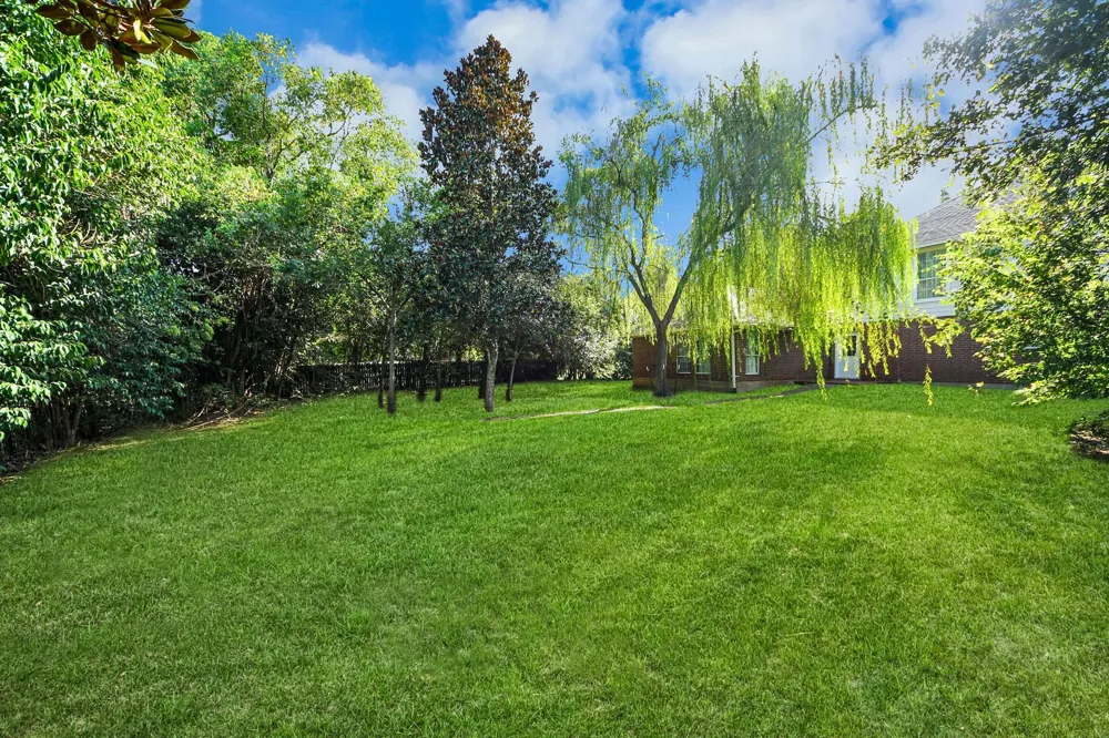 3211 Carmel Valley Drive Missouri City, TX 77459