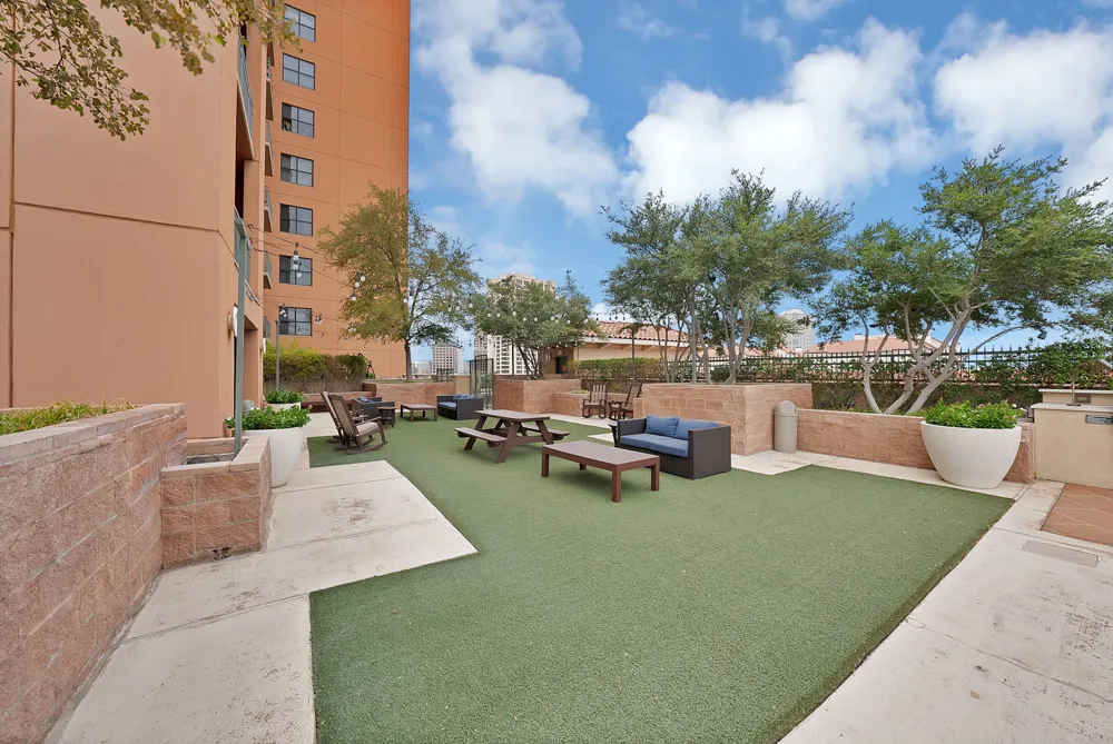 330 Las Colinas Boulevard E #338 Irving, TX 75039